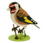 Maqueta de Papel 3D Jilguero Fridolin Maquetas