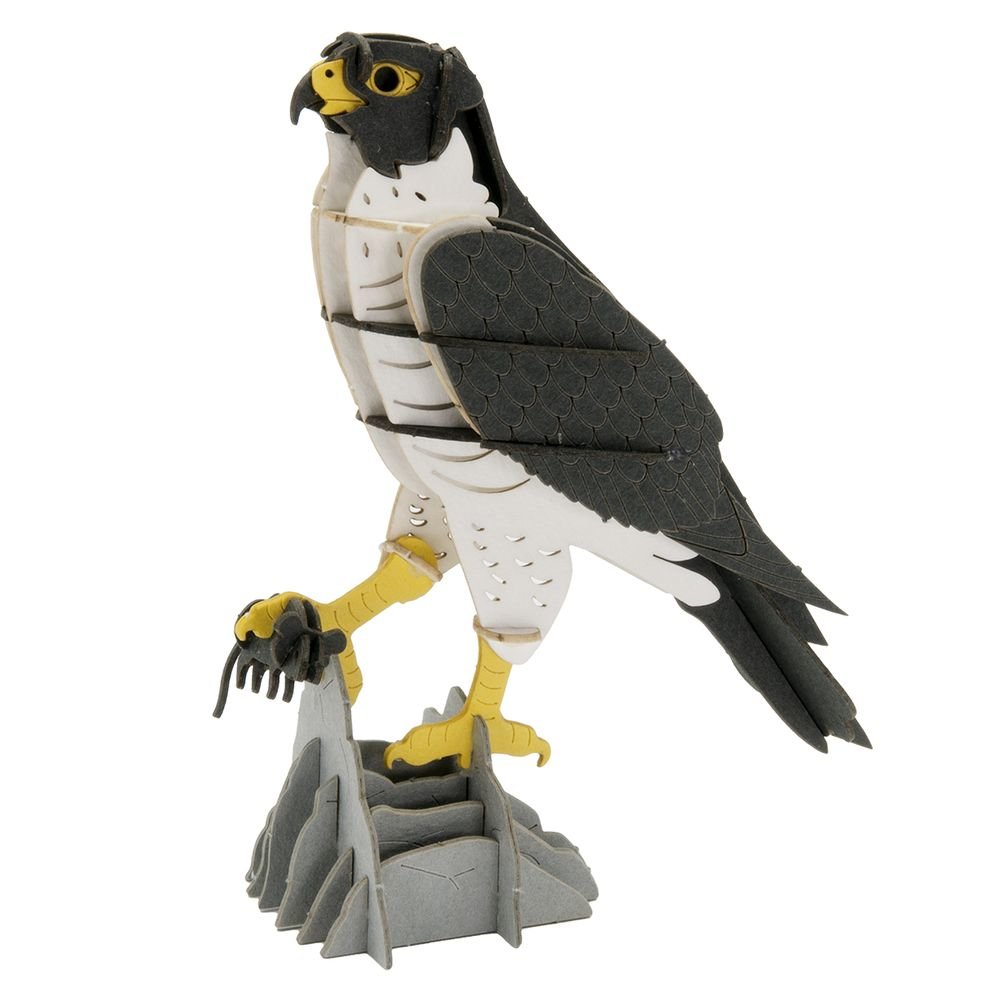 Maqueta de papel 3D Halcón - Fridolin