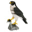 Maqueta de papel 3D Halcón - Fridolin