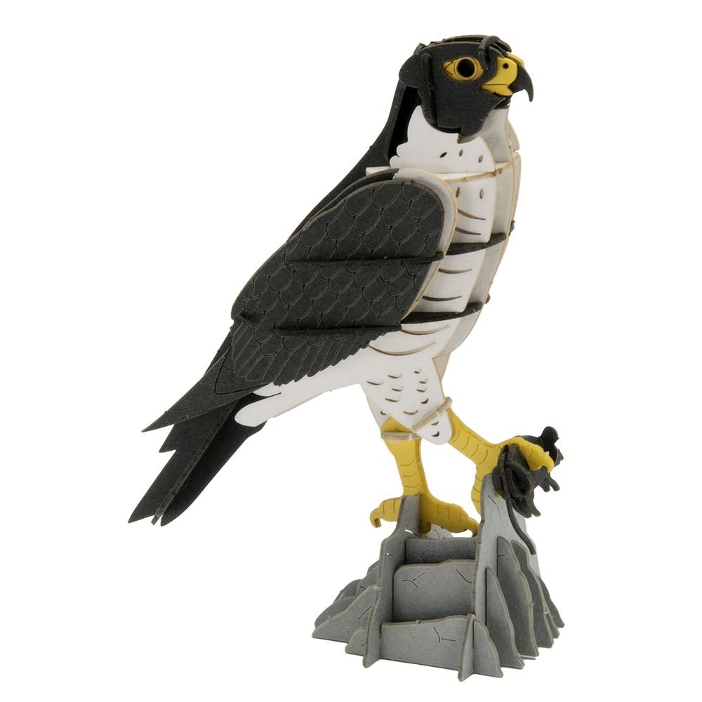Maqueta de papel 3D Halcón - Fridolin
