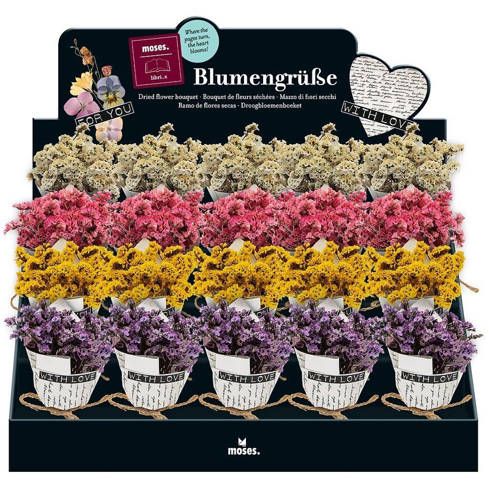 Expositor 20 Mini Ramos Flores Secas Surtidas MOSES Imagen principal del producto