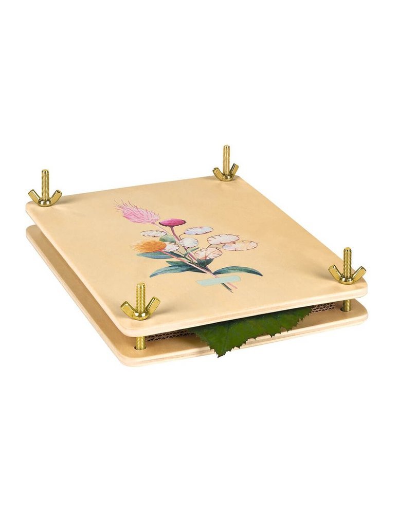 Prensa hojas y flores Moses Regalo en madera para manualidades y decoración