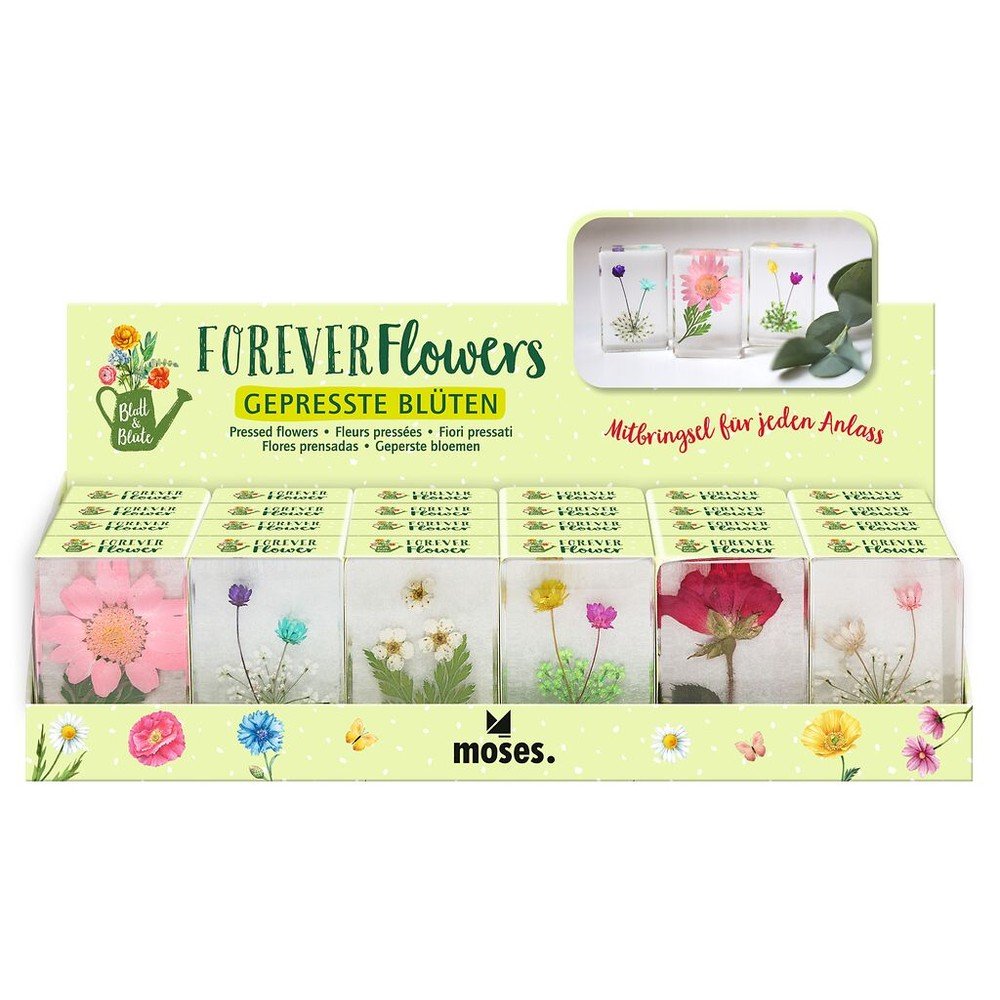 Expositor 24 Flores Prensadas Surtidas MOSES