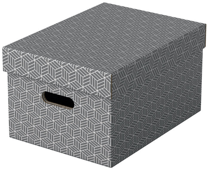 PACK 3U CAJA CARTON DECORATIVA GRIS 365X265X205 | LEITZ | 1 UNIDAD | 4049793072289 Imagen principal del producto