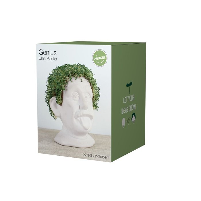 SET PLANTACION CABEZA EINSTEIN | WINKEE | 1 UNIDAD | 4260767642394 Imagen principal del producto