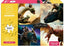 Puzzle Como Entrenar a Tu Dragón marca Teampuzzle 70-260 piezas