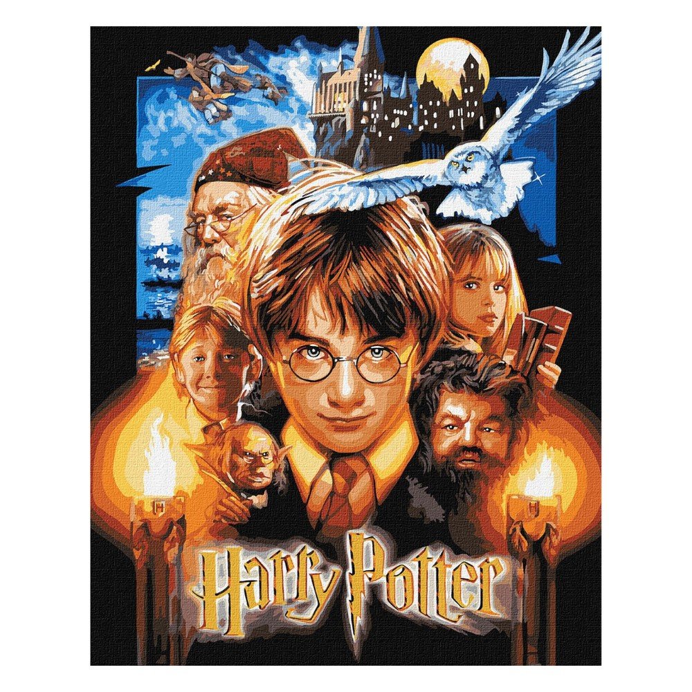 Pintar por números Harry Potter póster Ideyka