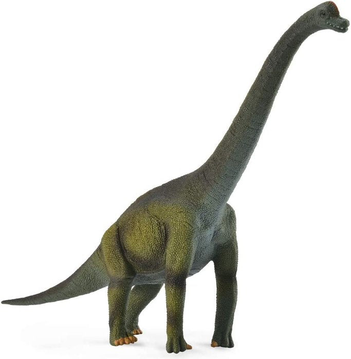 Figura Brachiosaurus DEQUBE