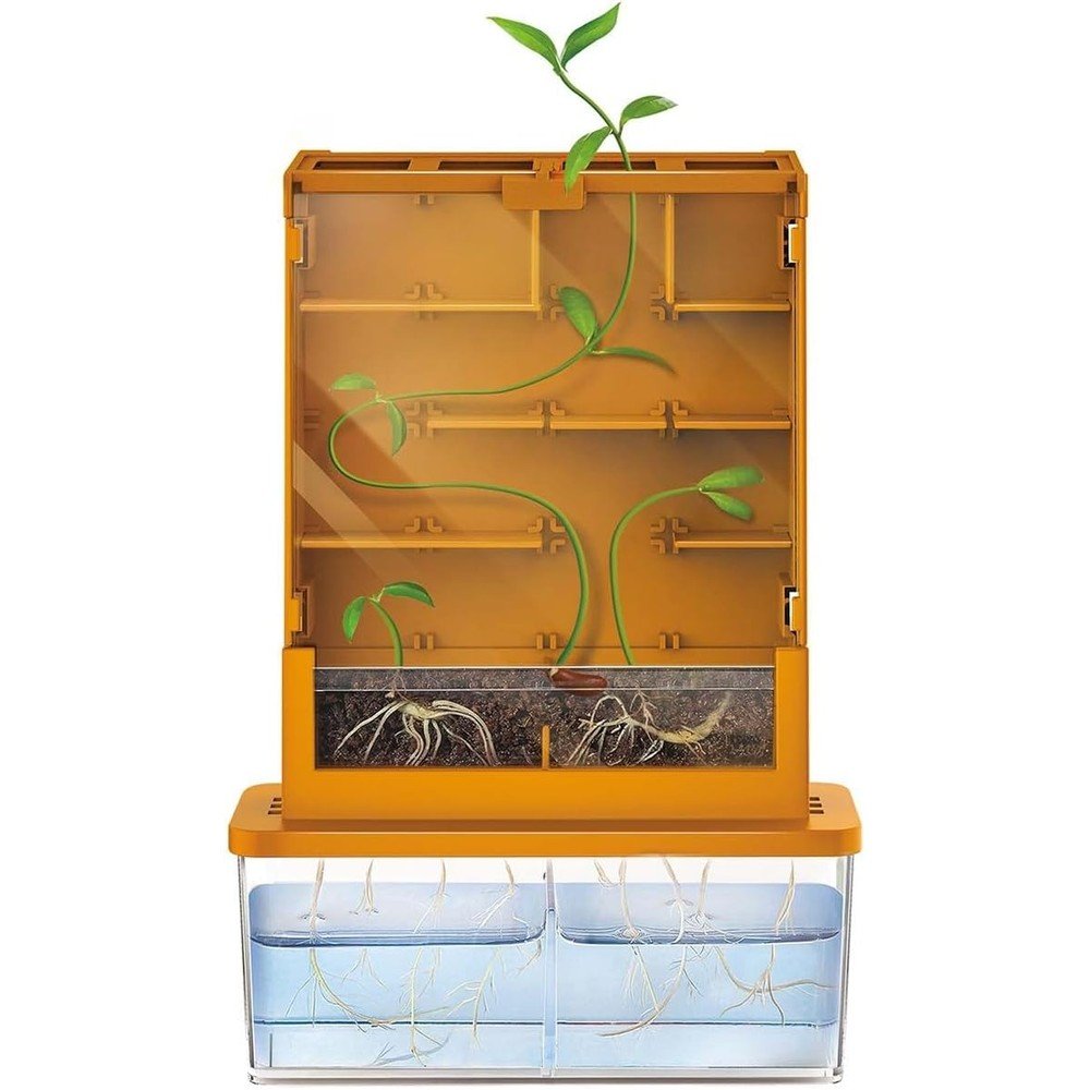 Juego Science Haz crecer tus plantas en el laberinto 4M