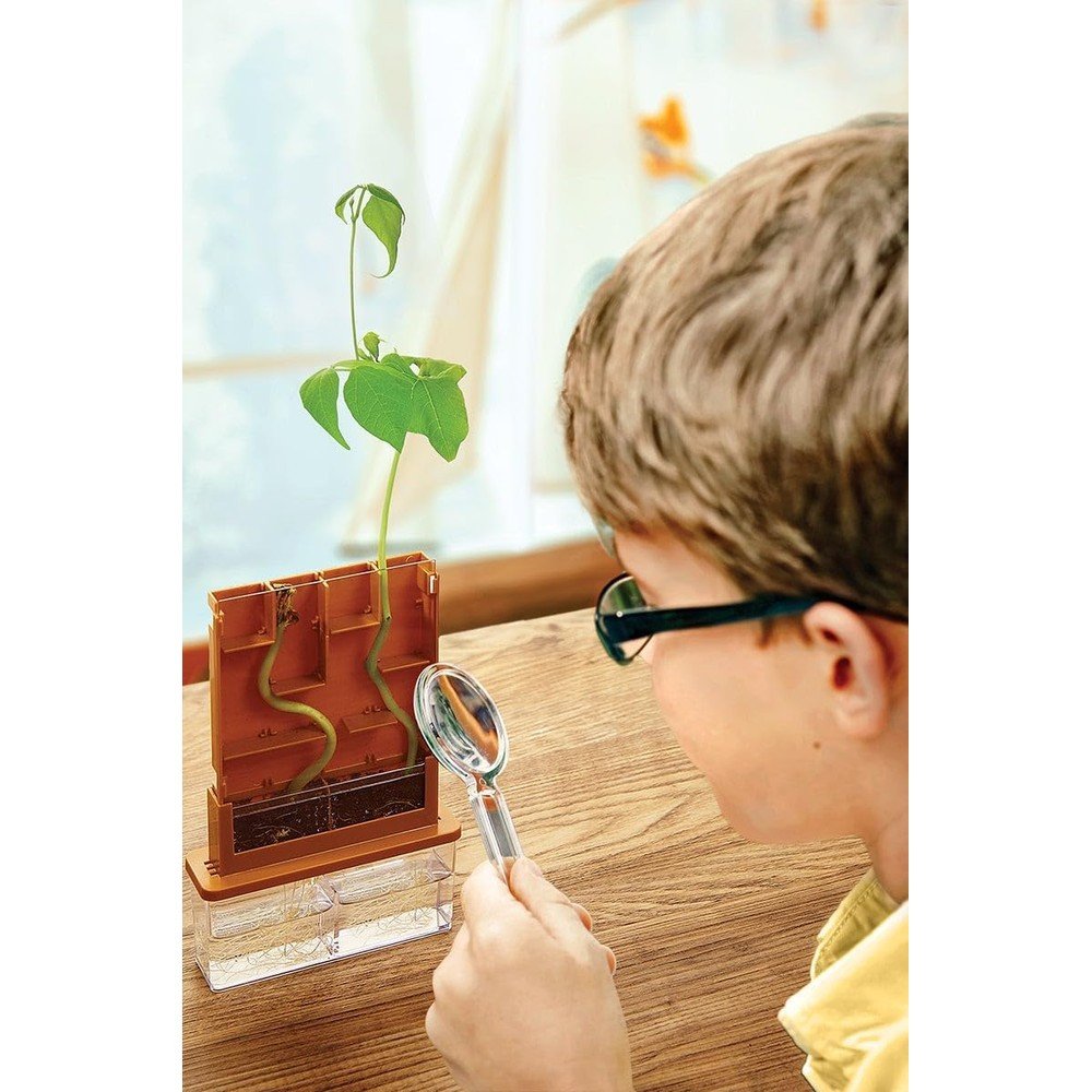 Juego Science Haz crecer tus plantas en el laberinto 4M