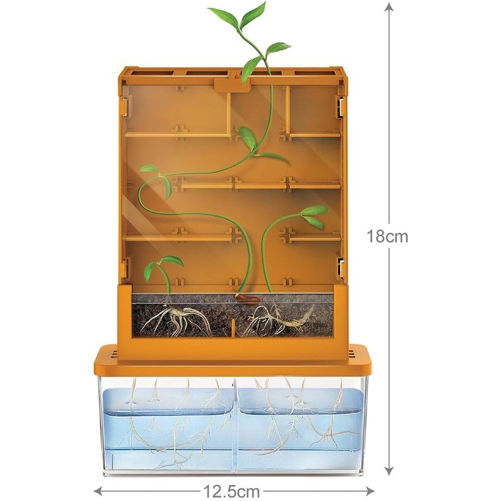 Juego Science Haz crecer tus plantas en el laberinto 4M