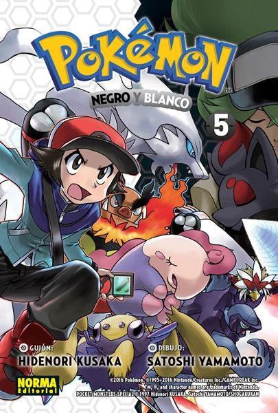 POKEMON 30: Negro y Blanco 02