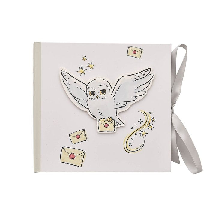 ALBUM DE FOTOS DE HARRY POTTER - HEDWIG | 1 UNIDADES | (WIDDOP)