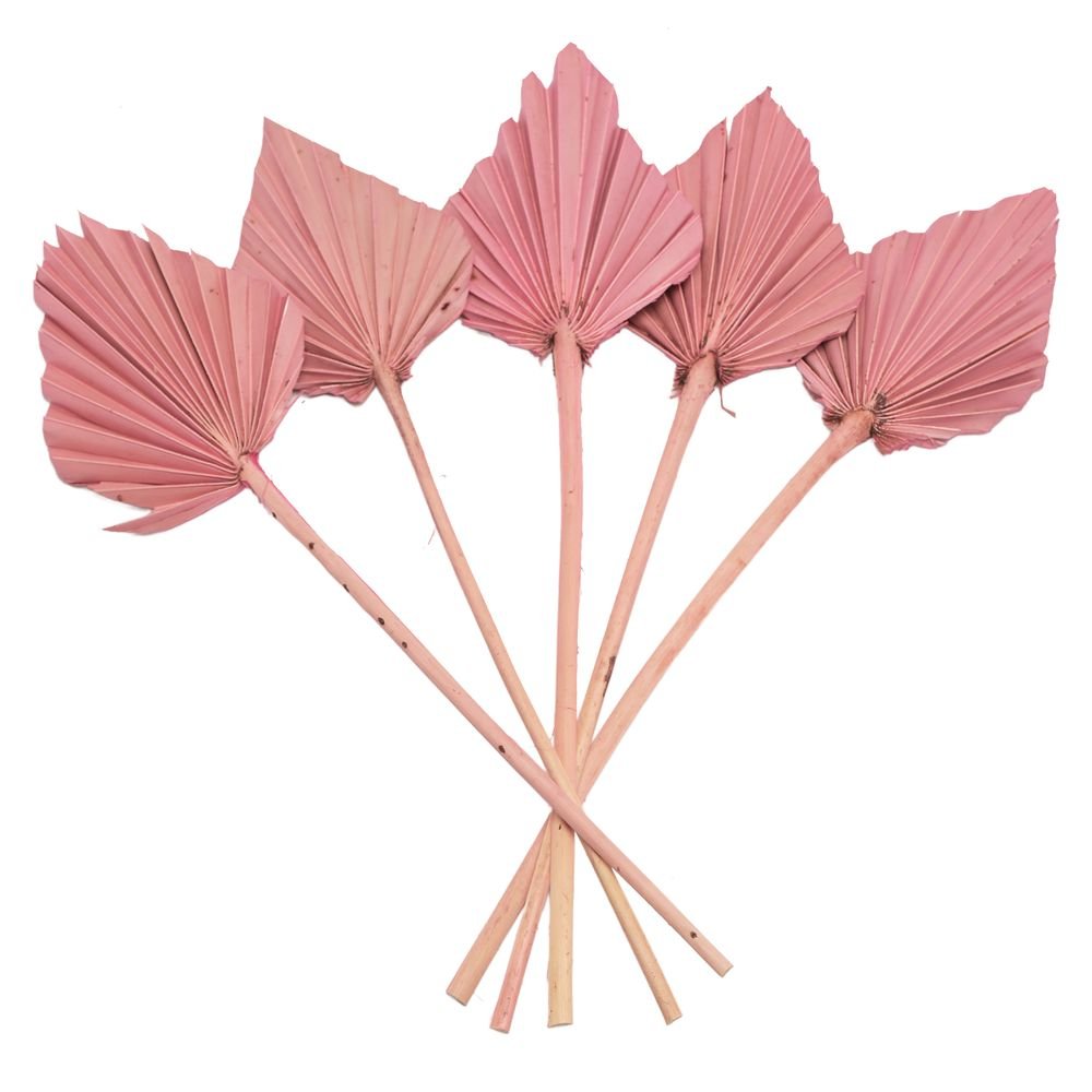 Ramo Flores Palma Rosa 45 cm - Pack 8 unidades