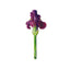 Marcapáginas Flores Iris Marca The Company Called If House