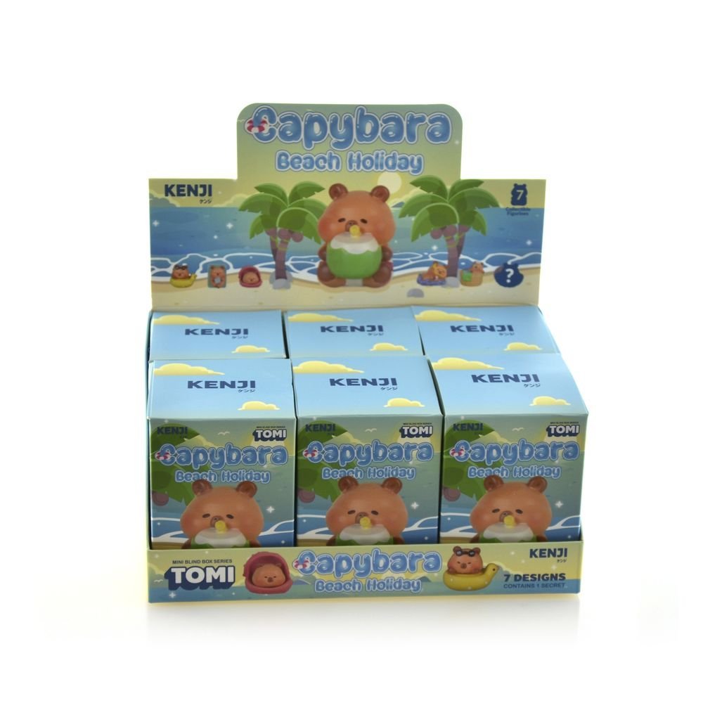 Display 6 Caja Sorpresa Capybara Beach Surtida Marca Fraga Kawaii