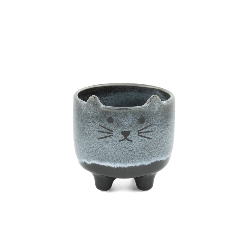 Macetero Gato Mojave SASS & Belle Imagen principal del producto