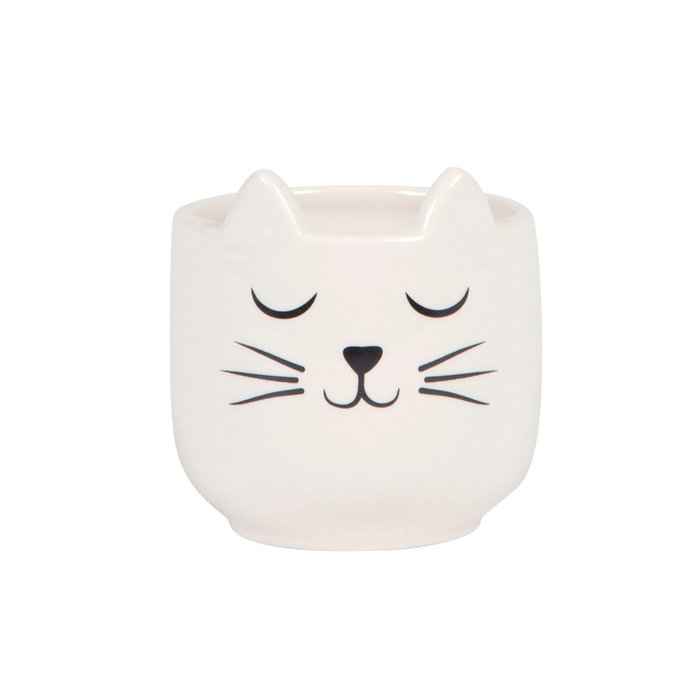 MINI MACETERO GATO | SASS & BELLE | 1 UNIDAD | 5055992739822 Imagen principal del producto