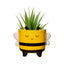 MINI MACETERO CON PATAS FORMA ABEJA | SASS & BELLE | 1 UNIDAD | 5055992797488