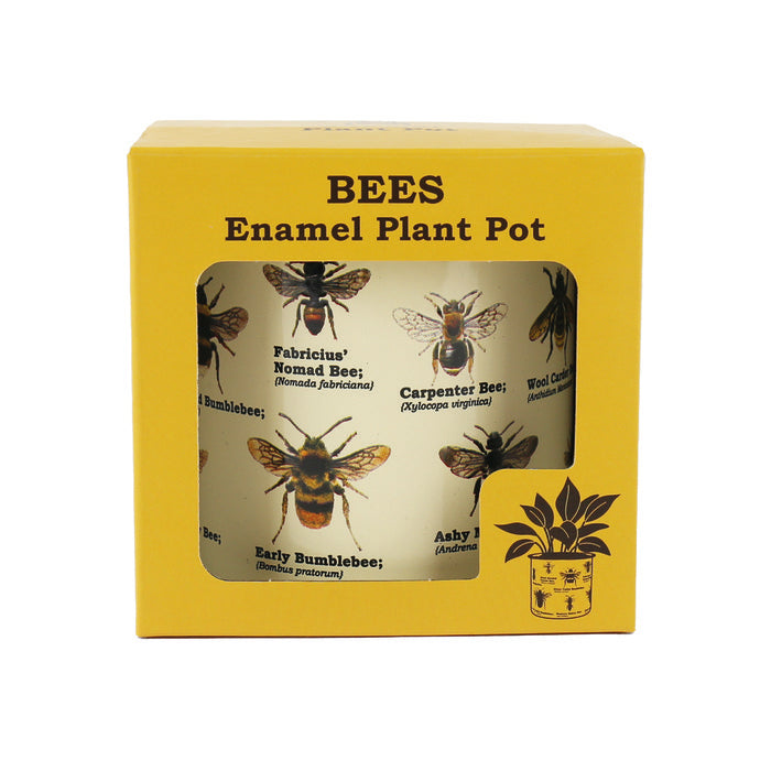 MACETERO DE DISEÑO TIPO DE ABEJAS | MAGS BRANDS | 1 UNIDAD | 5056004352565 Imagen principal del producto
