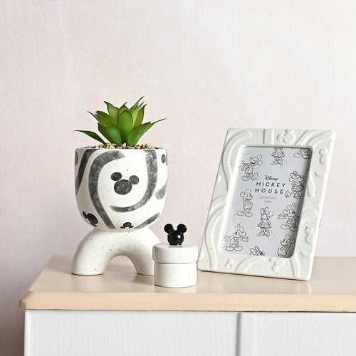 Macetero Patas Mickey con Planta Sintética Widdop