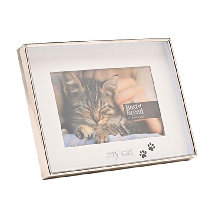 MARCO DE FOTOS MY CAT 10 X 15 | 1 UNIDADES | (WIDDOP) Imagen principal del producto