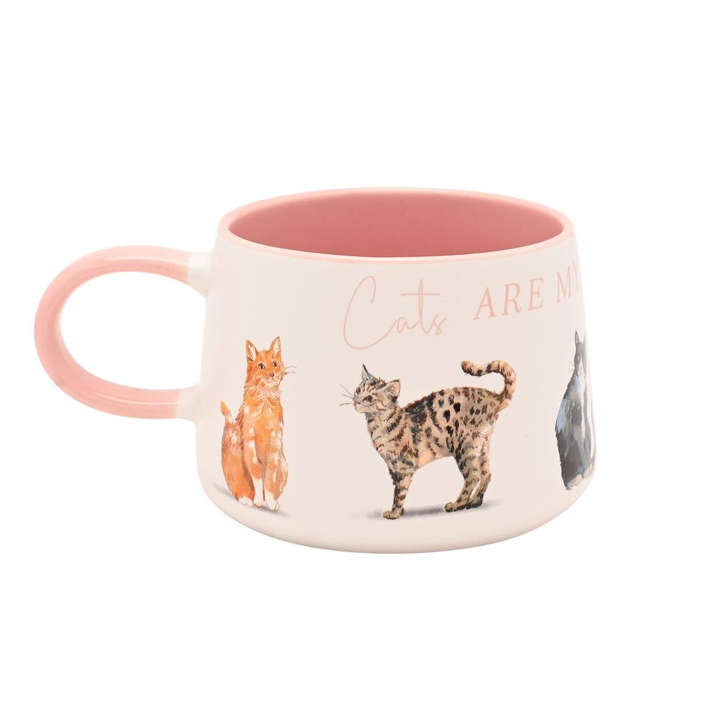 TAZA CERAMICA CATS | WIDDOP | 1 UNIDAD | 5063322080667 Imagen principal del producto