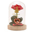 PRINCESAS DISNEY FLORES EN CAMPANA CON LUZ NEON BELLA | WIDDOP DISNEY | 1 UNIDAD | 5063322118001