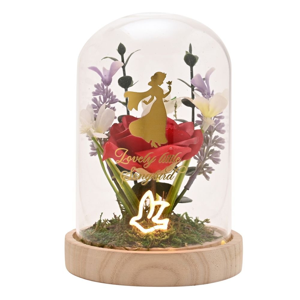 PRINCESAS DISNEY FLORES EN CAMPANA CON LUZ NEON BLANCANIEVE | WIDDOP DISNEY | 1 UNIDAD | 5063322118049 Imagen principal del producto