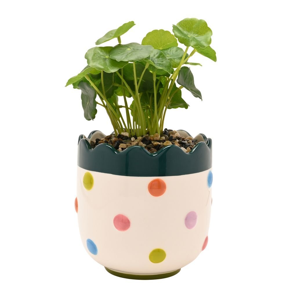 Macetero Burbujas con Flores y Planta Artificial WIDDOP Imagen principal del producto
