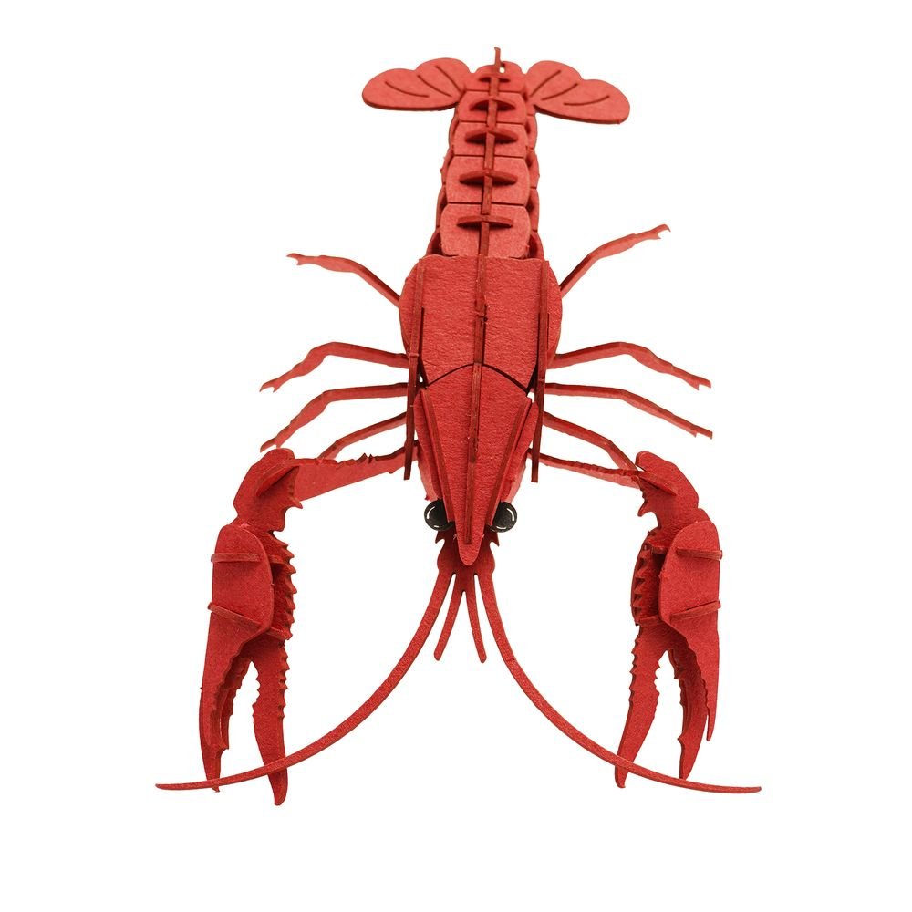 Maqueta 3D cangrejo de río Widdop