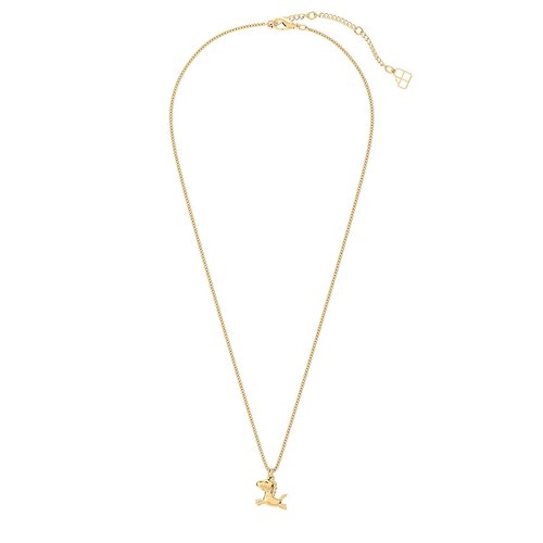Collar Chocli Unicornio Volador 36-43 cm
