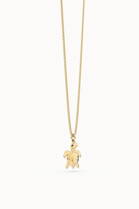 COLLAR CHOCLI TORTUGA 41-48 CM, | CHOCLI | 1 UNIDAD | 5404006053797 Imagen principal del producto