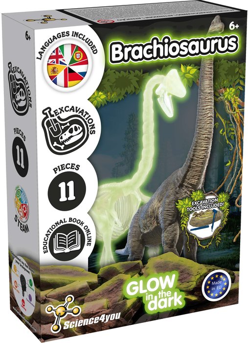 JUEGO DE MESA EXCAVACIONES BRACHIOSAURUS BRILLA OSCURIDAD | SCIENCE 4 YOU | 1 UNIDAD | 5600983628106 Imagen principal del producto