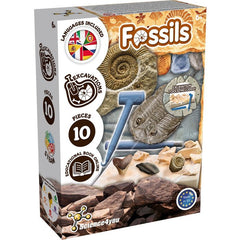 JUEGO EXCAVACION FOSILES | SCIENCE 4 YOU | 1 UNIDAD | 5600983632219