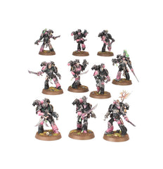 ✅  HIJOS DEL EMPERADOR: CAMPEONES DE SLAANESH - CAJA DE EJÉRCITO