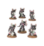 ✅  HIJOS DEL EMPERADOR: CAMPEONES DE SLAANESH - CAJA DE EJÉRCITO