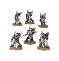✅  HIJOS DEL EMPERADOR: CAMPEONES DE SLAANESH - CAJA DE EJÉRCITO