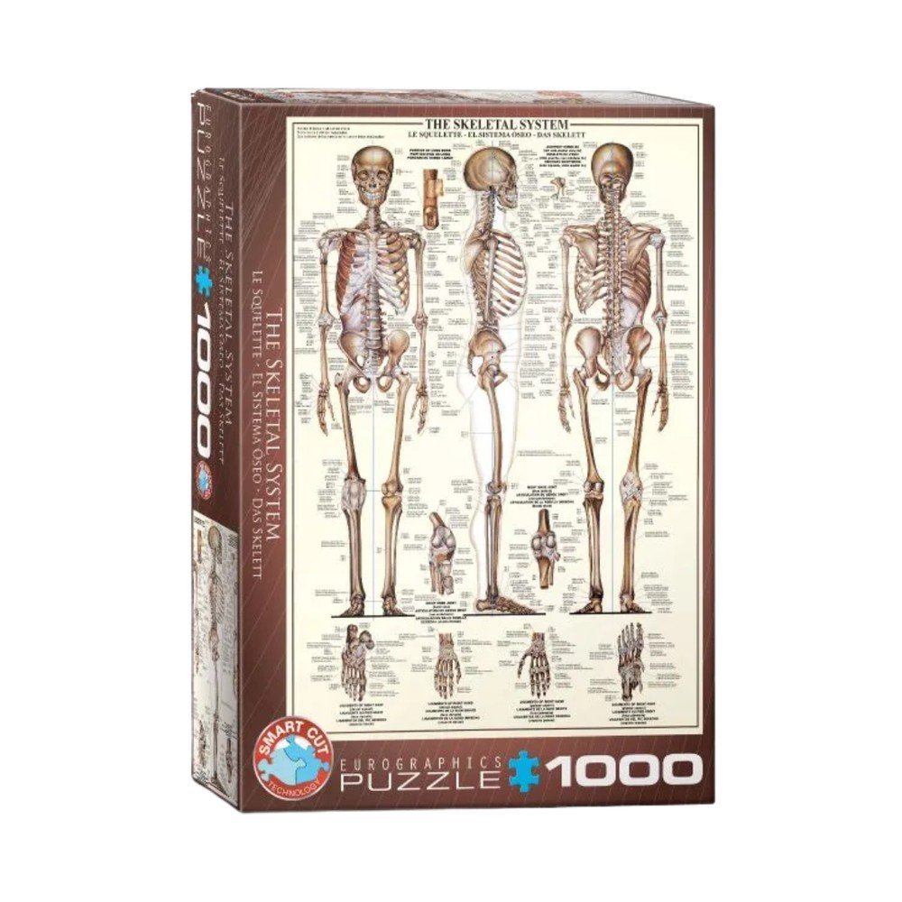 Puzzle Sistema Esquelético 1000 piezas Eurographics