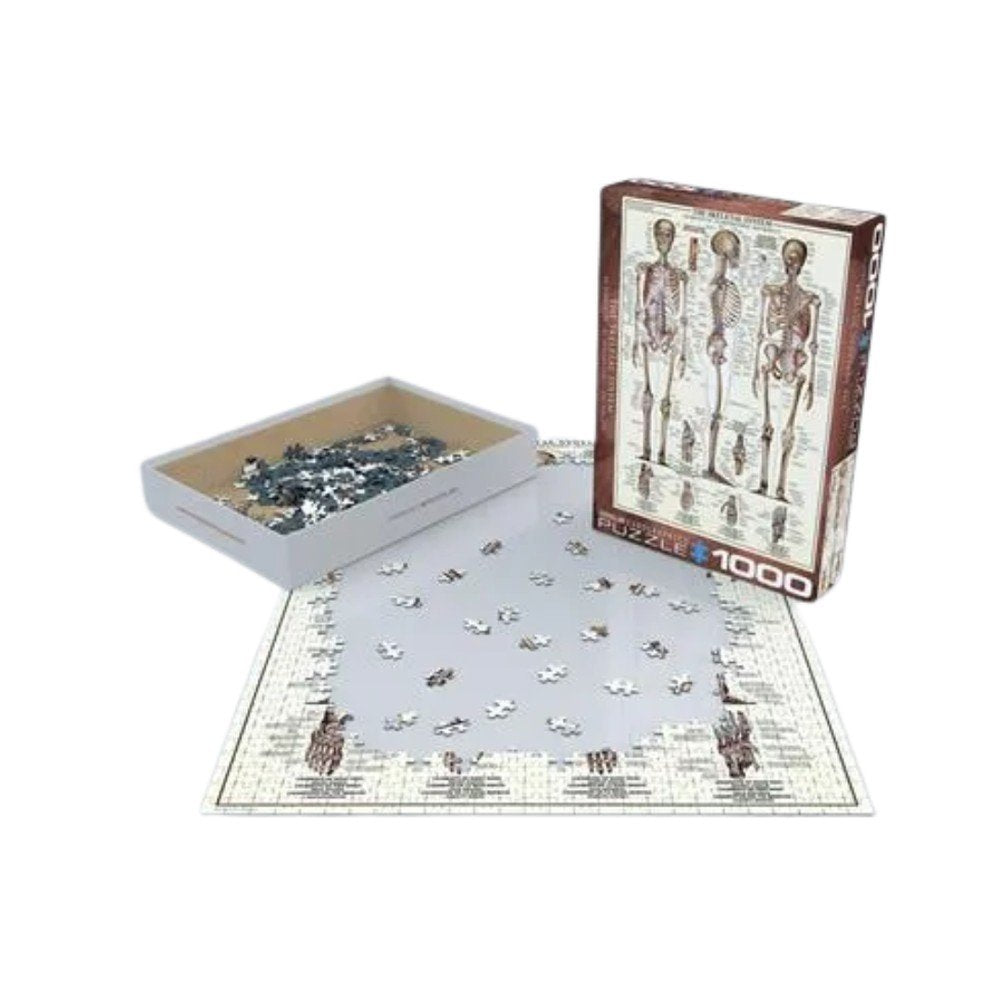 Puzzle Sistema Esquelético 1000 piezas Eurographics