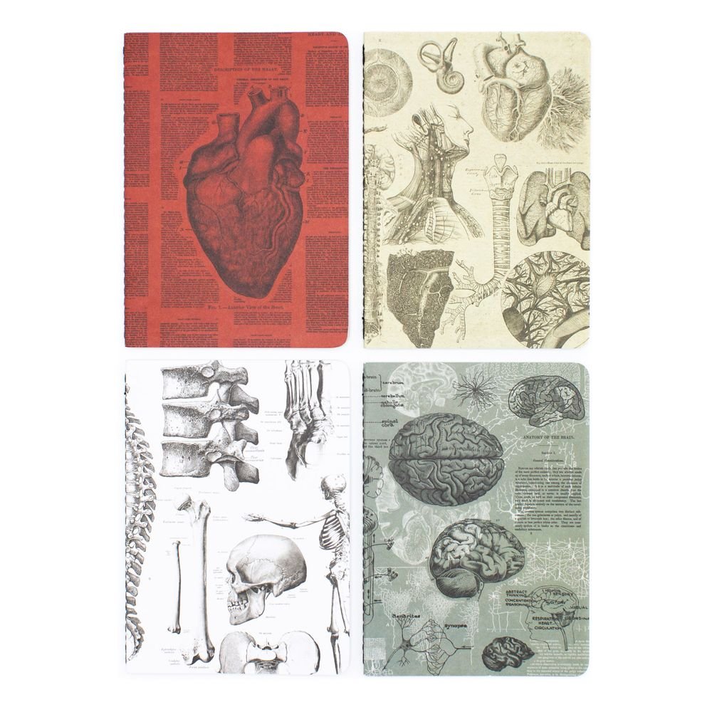 Set 4 Cuadernos de Bolsillo A6 Corazón Cognitive Ciencia Imagen principal del producto