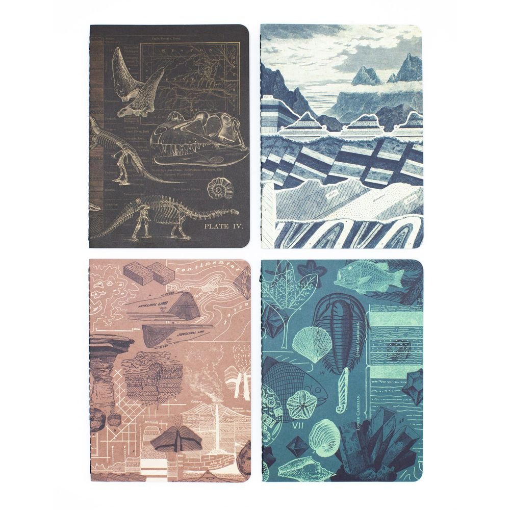 Set 4 Cuadernos de Bolsillo A6 Fosiles Cognitive Ciencia Imagen principal del producto
