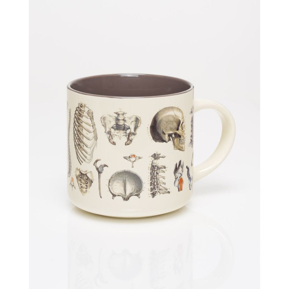 Taza cerámica esqueleto 430 ml Cognitive Ciencia Imagen principal del producto