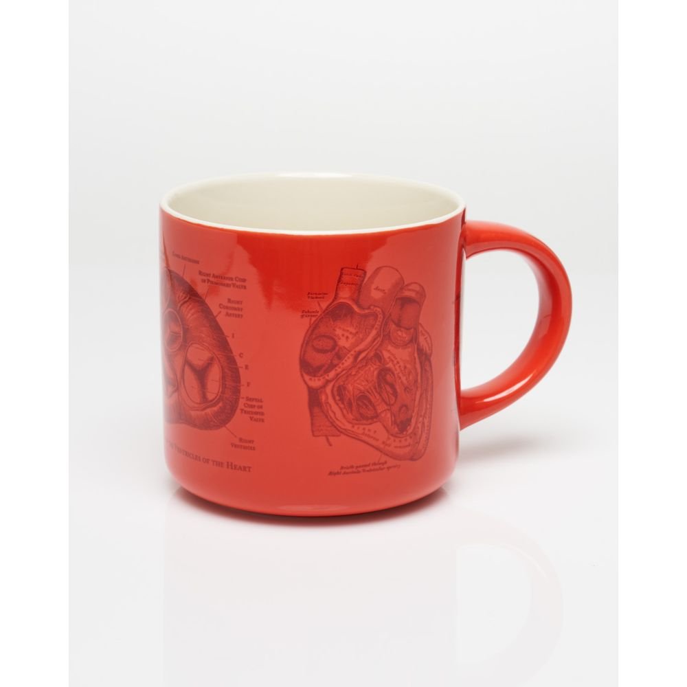 Taza Ceramica Anatomia Corazon 430ml Imagen principal del producto