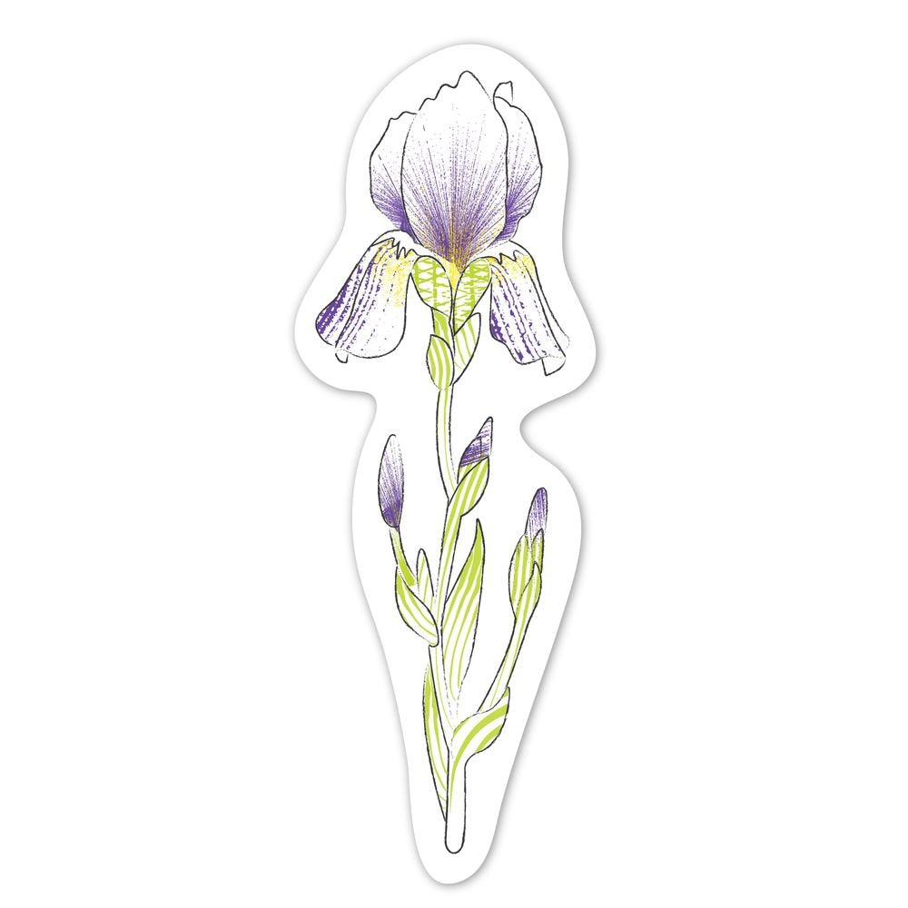 Natural Creation Pintar con Acuarelas Flores Avenir