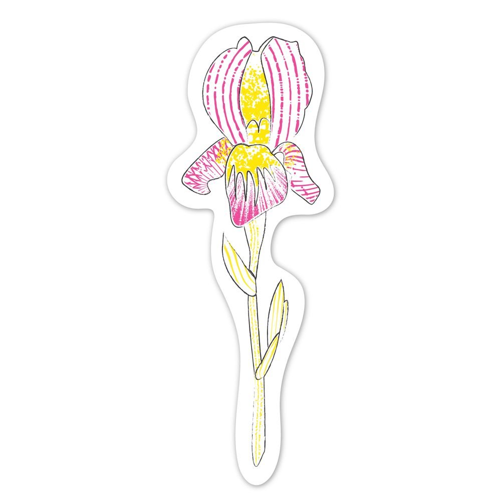 Natural Creation Pintar con Acuarelas Flores Avenir