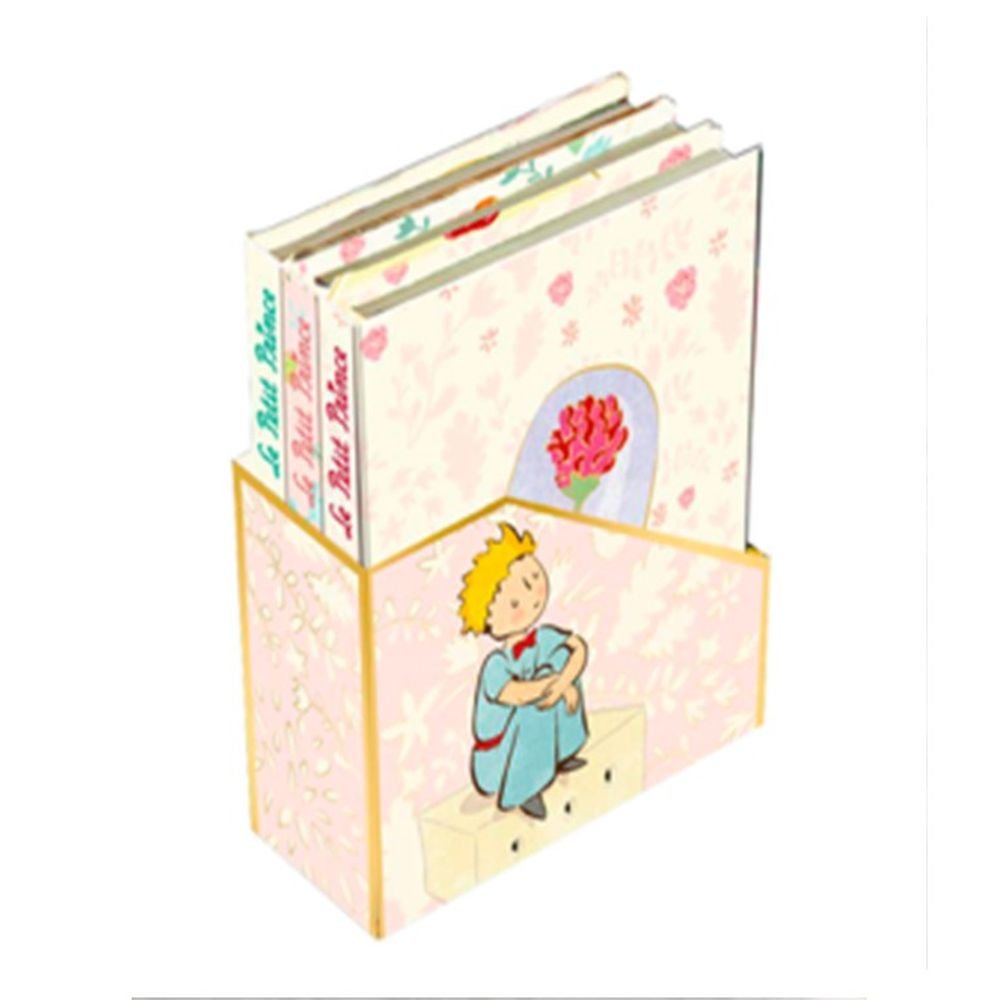 Set 3 mini cuadernos El Principito - Premium Paper