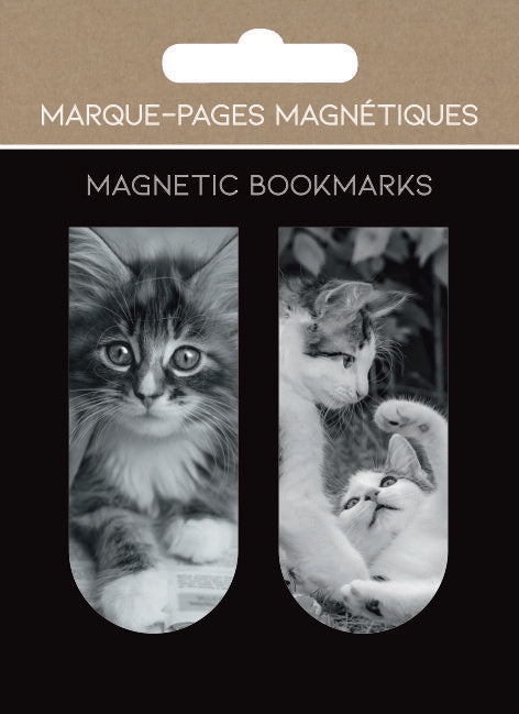 MARCAPAGINAS MAGNETICOS CHATONS GATOS | 1 UNIDADES | (PICTURA) Imagen principal del producto