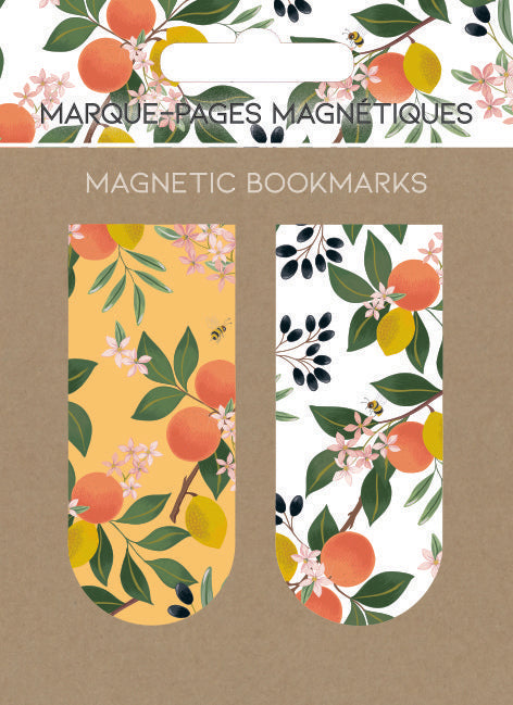 MARCAPAGINAS MAGNETICOS ORANGES NARANJAS | 6 UNIDADES | (PICTURA) Imagen principal del producto