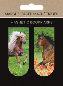Marcapáginas magnéticos Caballos PICTURA para libros y regalos